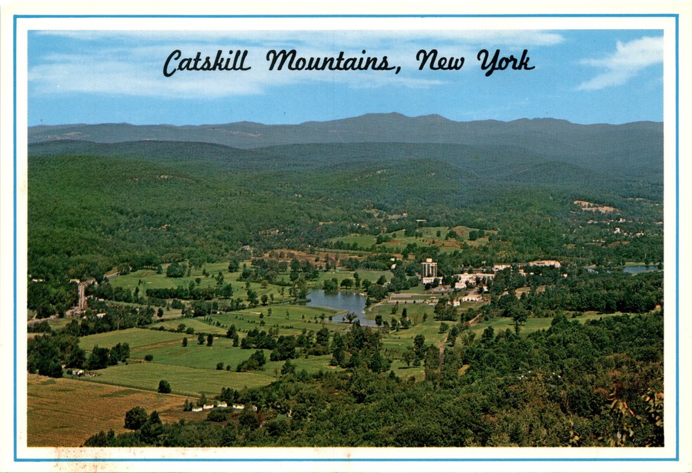 Catskill Mountains, New York, New York City, Monticello, Liberty, Postcard