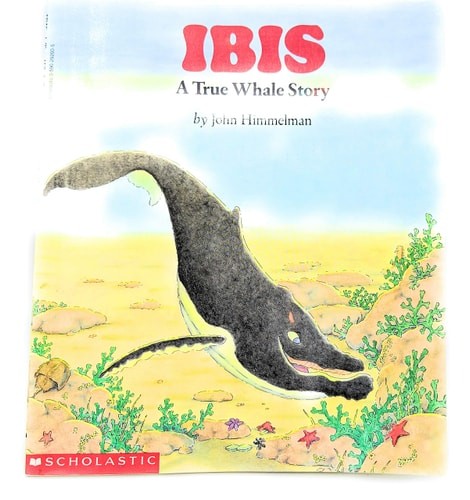 Ibis a True Whale Story by John Himmelman, Very Good Book