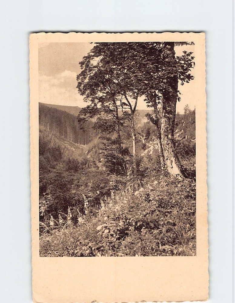 Postcard Nature Landscape Scenery