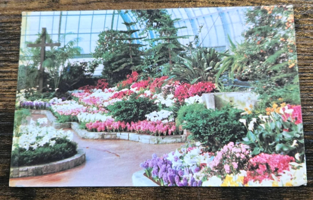 1960s Cincinnati Ohio Krohn Conservatory Easter Display Vintage Postcard