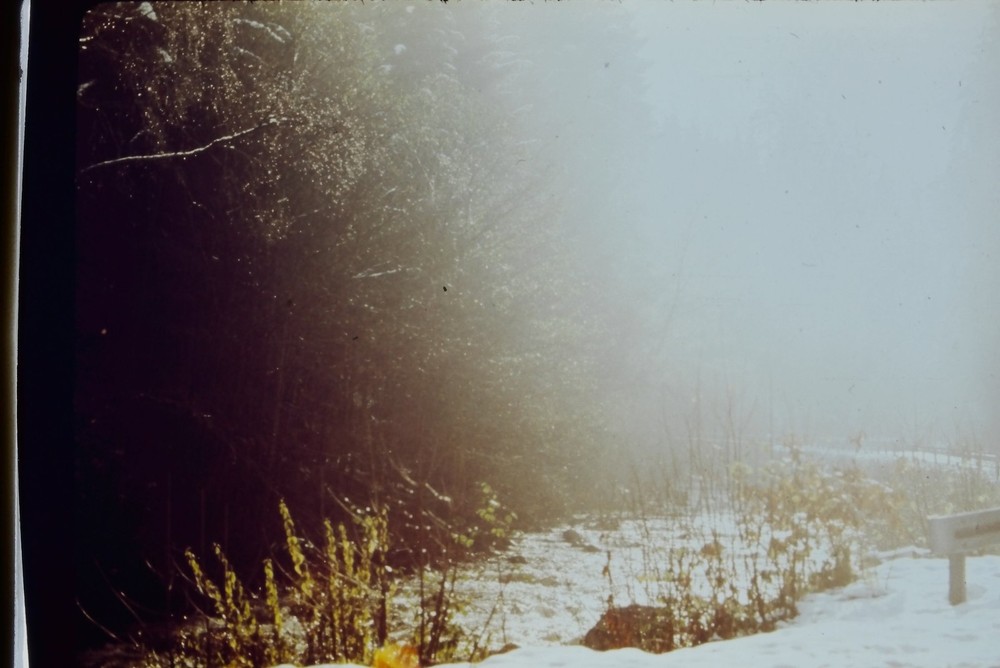 c1970's 35mm Slide Film Winter Snow Landscape Foliage Outdoor Sign Hazy Snowy