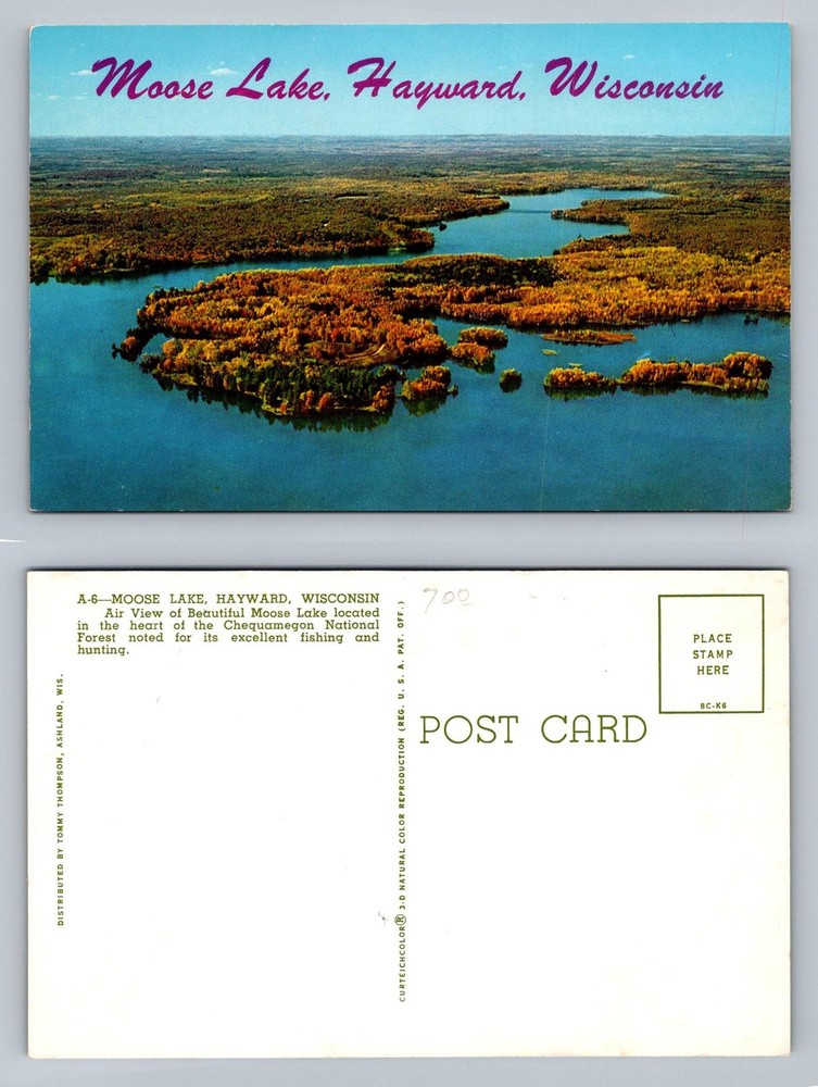 Hayward, WI-Wisconsin, Moose Lake Chequamegon Forest Air View Vintage Postcard