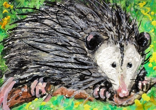 ORIGINAL ACEO Painting OPOSSUM SPRING Animal Flowers Posum Nature ATC ART