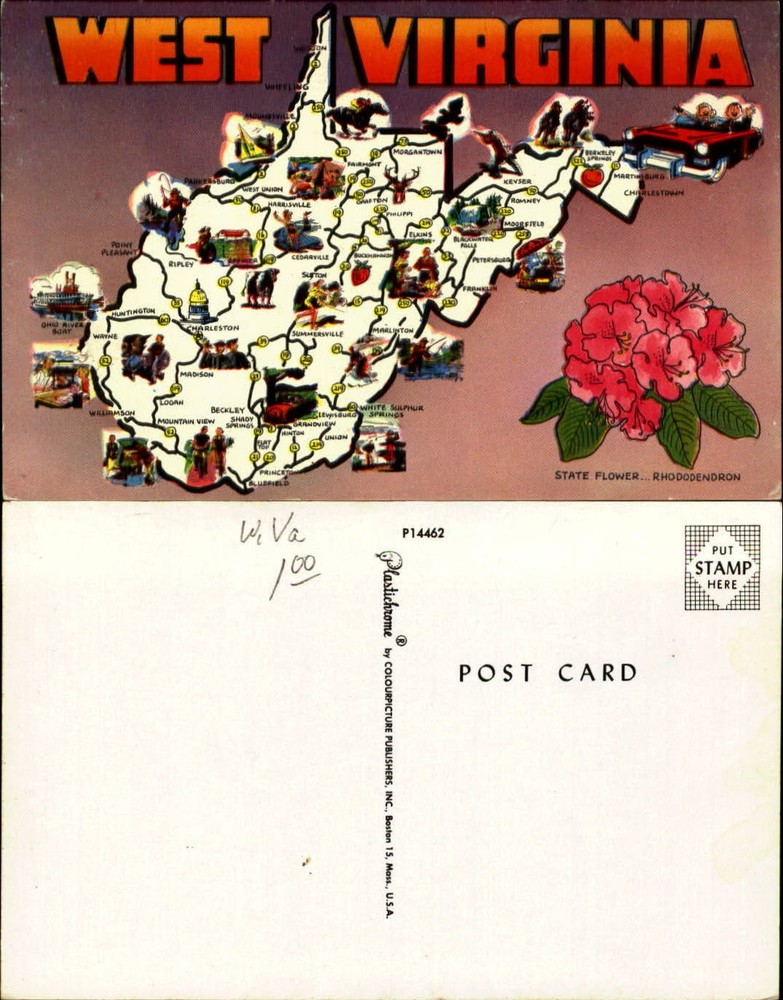West Virginia map postcard state flower Rhododendron