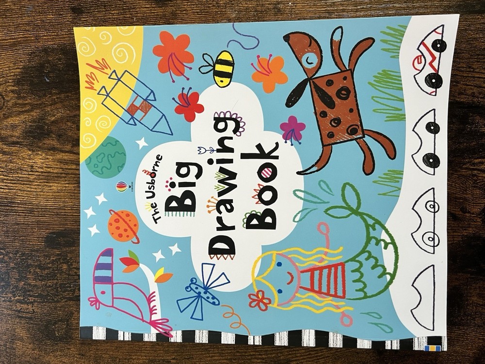 Lot Of 2 Usborne Books Learning How To Draw For Kids