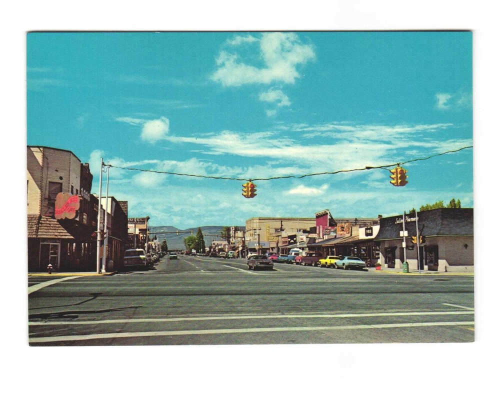 Gunnison CO vintage postcard unposted street View