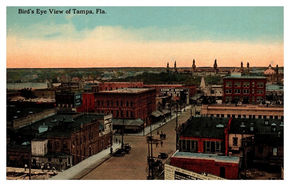 Tampa FL Birdseye View Cityscape Horse Carts Car Signs C1910s Postcard AH5
