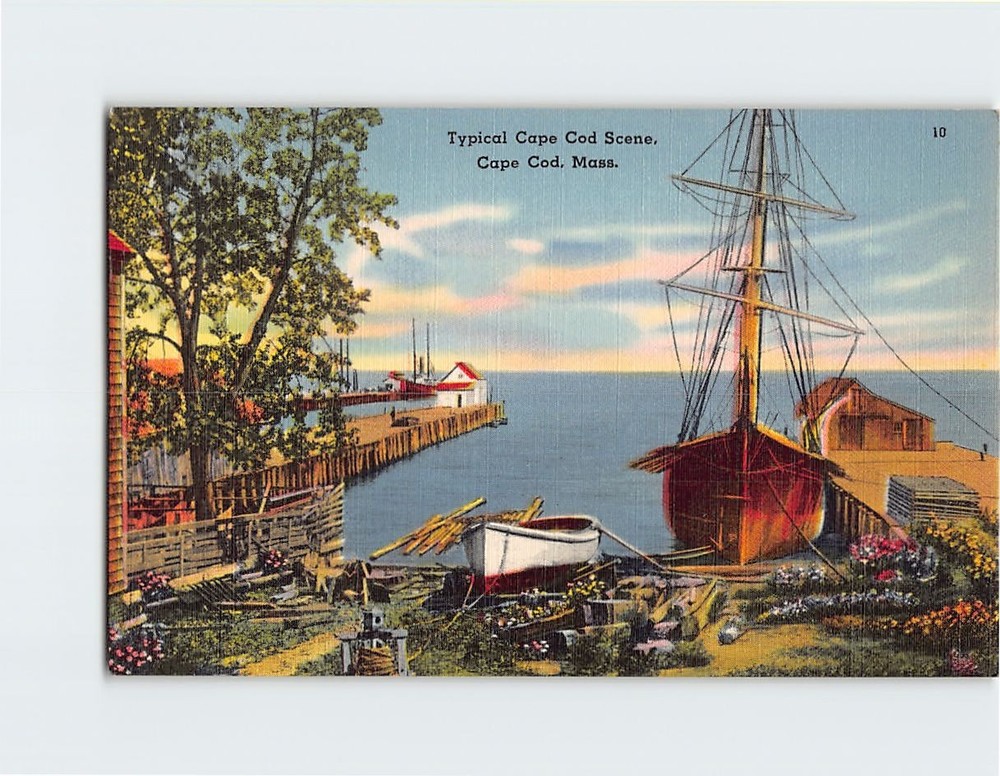 Postcard Typical Cape Cod Scene Cape Cod Massachusetts USA