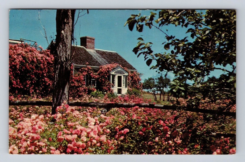 Cape Cod MA-Massachusetts, Wild Roses Cover Cottage, Vintage c1968 Postcard