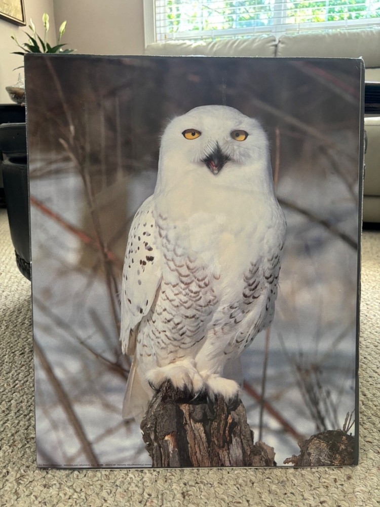 Vintage 16x20 Ready to Hang or Frame Print New Snowy Owl Nature