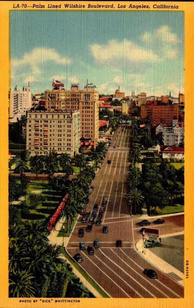 Linen Postcard - Palm Lined Wilshire Boulevard, Los Angeles, Ca Bk49