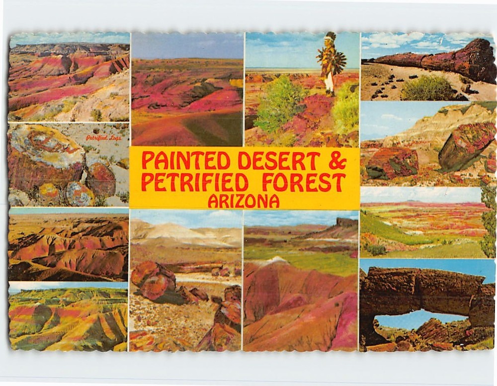 Postcard Painted Desert & Petrified Forest Arizona USA