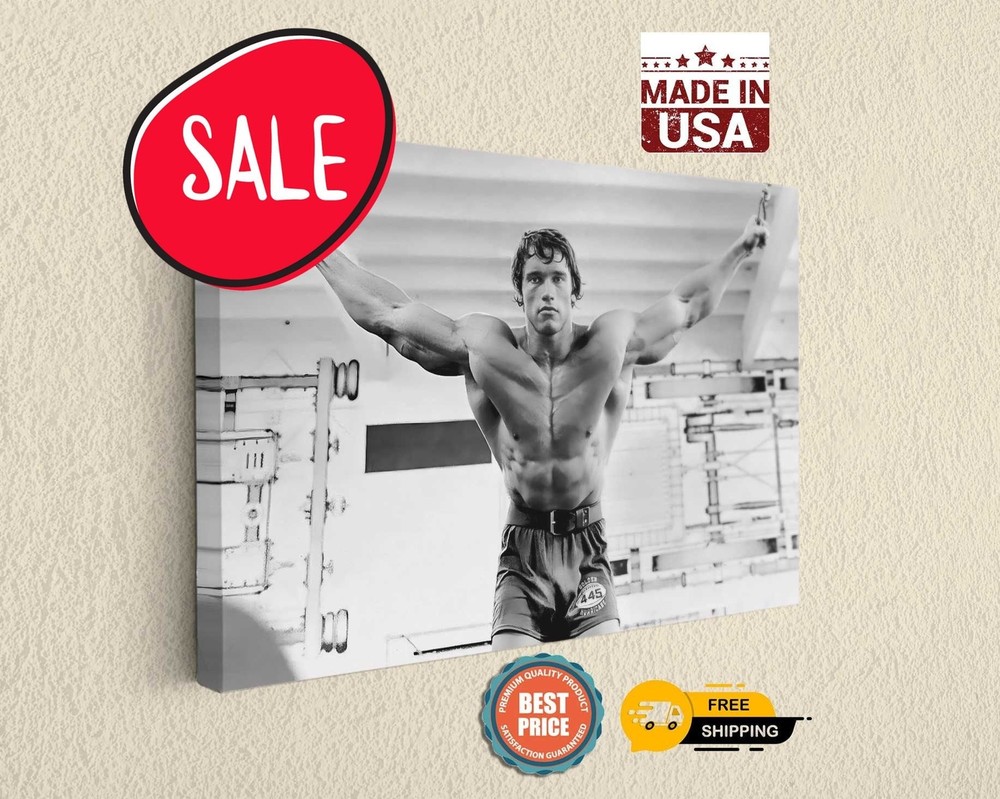 Arnold Schwarzenegger Workout Canvas Art | Motivational Home Wall Hangings