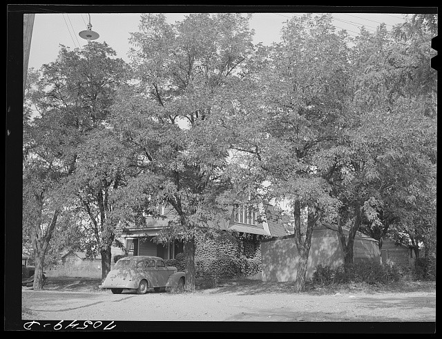 Photo:1930s House Tree-Lined Street Vintage Car Black and White Photo
