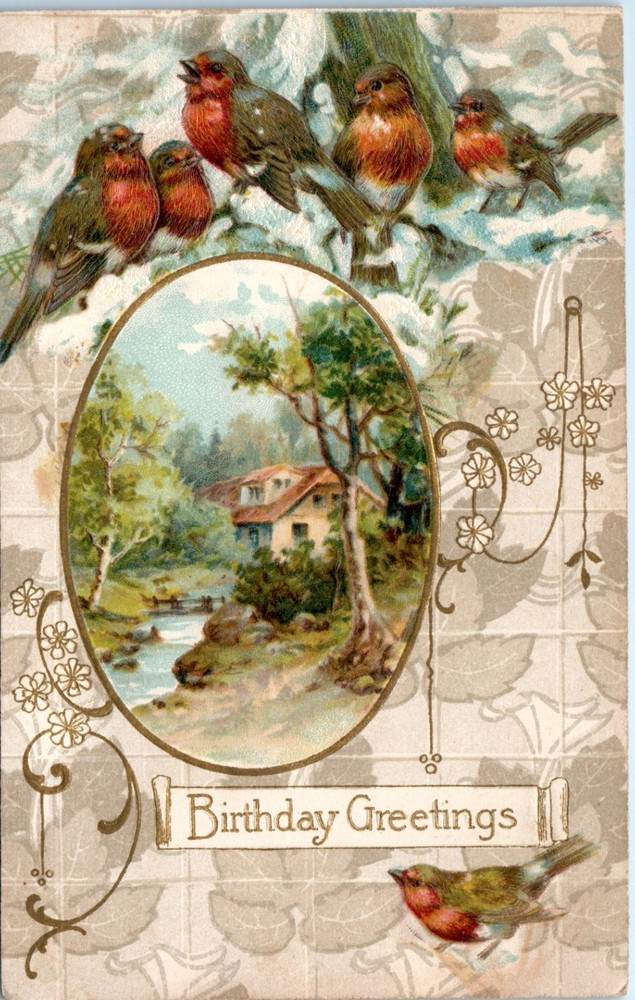 Vintage - Lovely Country Scene Winter Birds Embossed Birthday - Postcard - P12