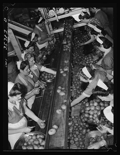 Photo:1930s Women Packing Tomatoes Produce Conveyor Assembly Line