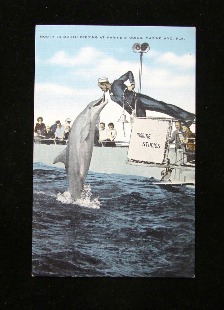 Vtg Linen Postcard 
