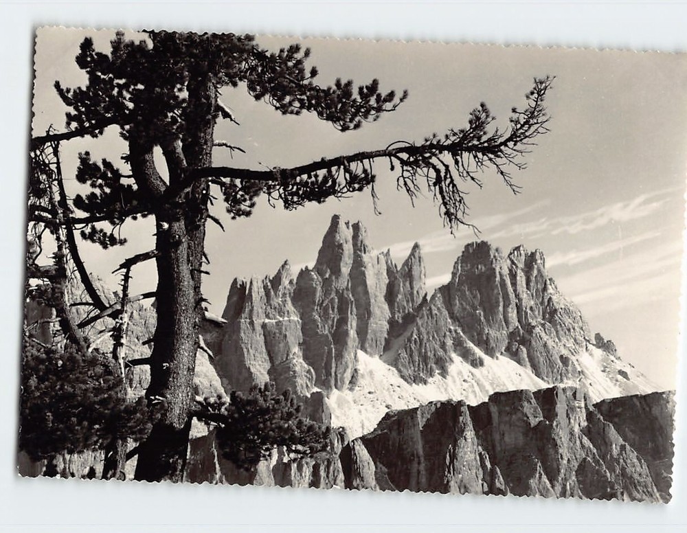Postcard Croda Da Lago Cortina d'Ampezzo Italy