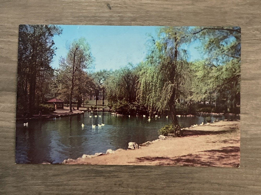 Birmingham Alabama Avondale Park Vintage Postcard