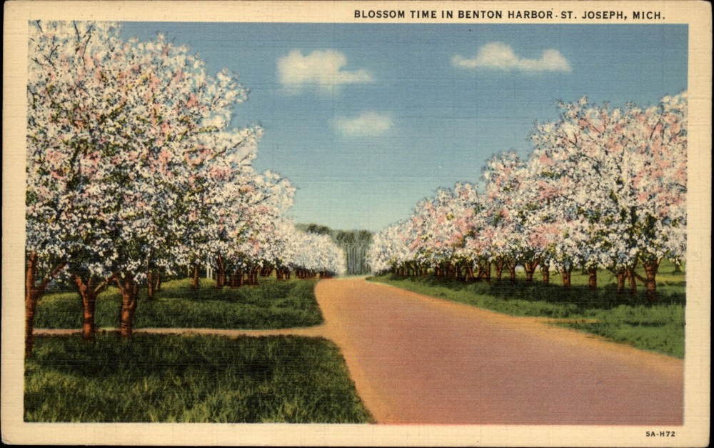 Michigan St Joseph Benton Harbor Blossom time ~ 1943 linen postcard  ~ s9689