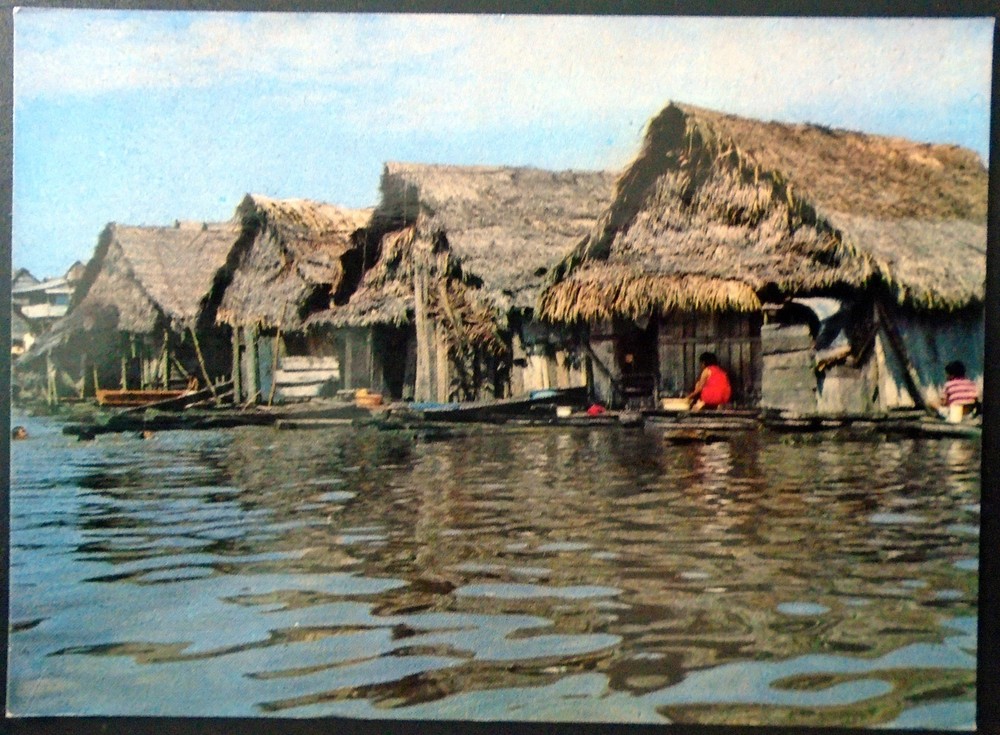 C5723 Peru Native Floating Houses in River Itaya (Iquitos) Amazonas Peru 4x6 PC