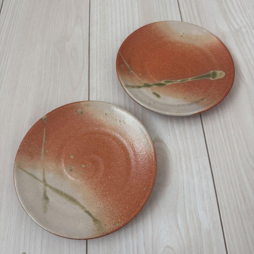 Shigaraki Ware Ceramic Plate Set of 2 Japanese Tableware Tea/Meal
