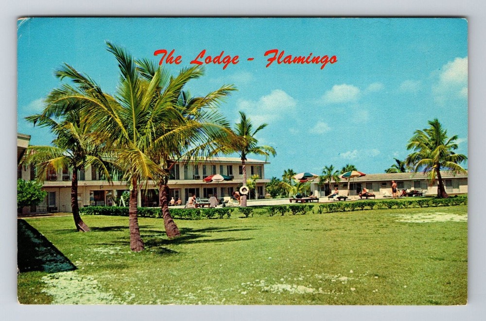 Everglades National Park FL-Florida, Flamings Lodge, Vintage Postcard
