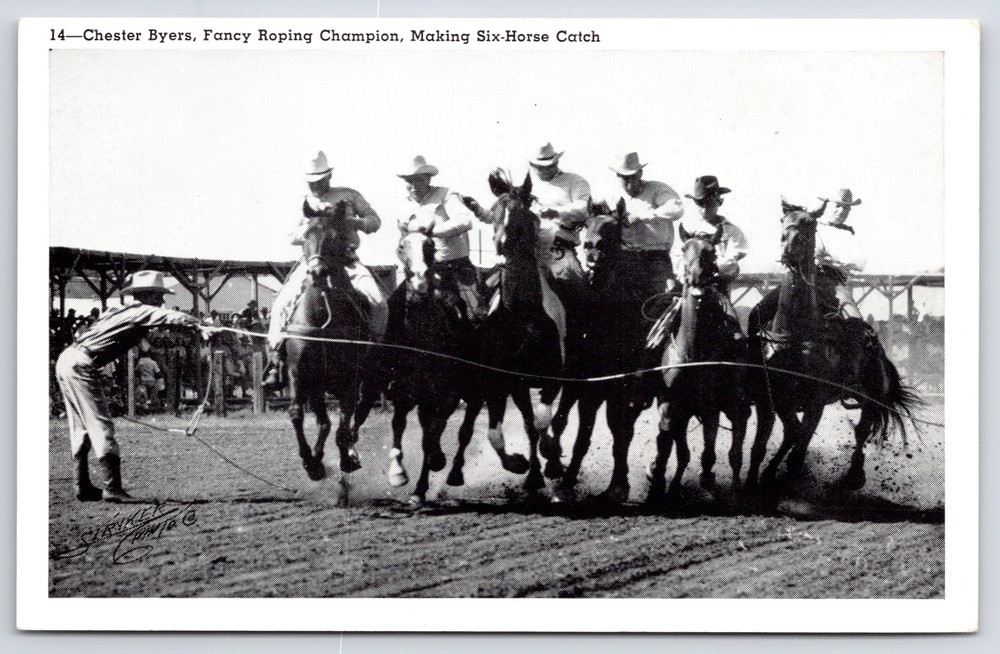 Western~Chester Byers~Fancy Roping Champion~6-Horse Catch~Strykers Pics~Vtg PC