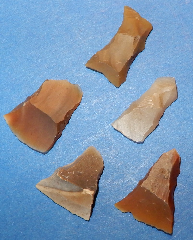 5 ARROW POINT's Transverse edge,  Arrow-Points. DANISH MESOLITHIC STONEAGE