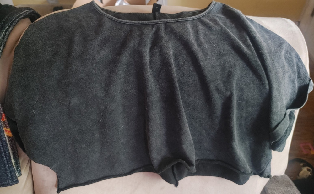 Women’s Gray Cropped Pullover Sweatshirt Short Sleeve Crew Neck Cotton Fleece