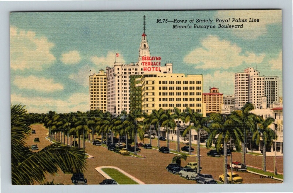 Miami FL-Florida, Biscayne Boulevard Royal Palms, Hotel Vintage Postcard