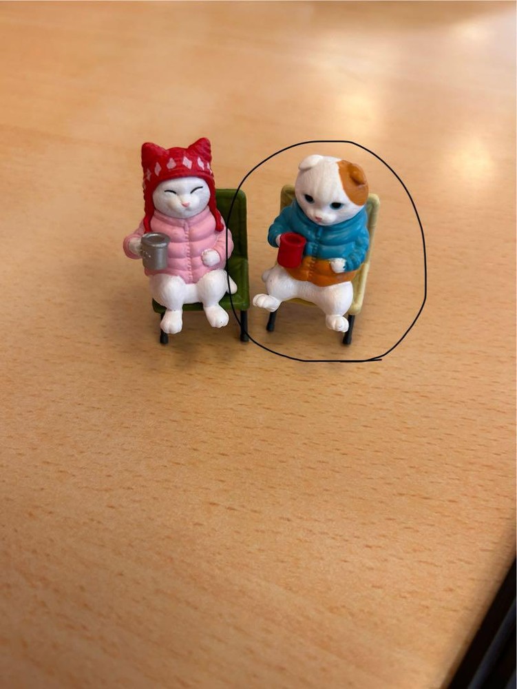 Cat'S Holiday Campfire Edition