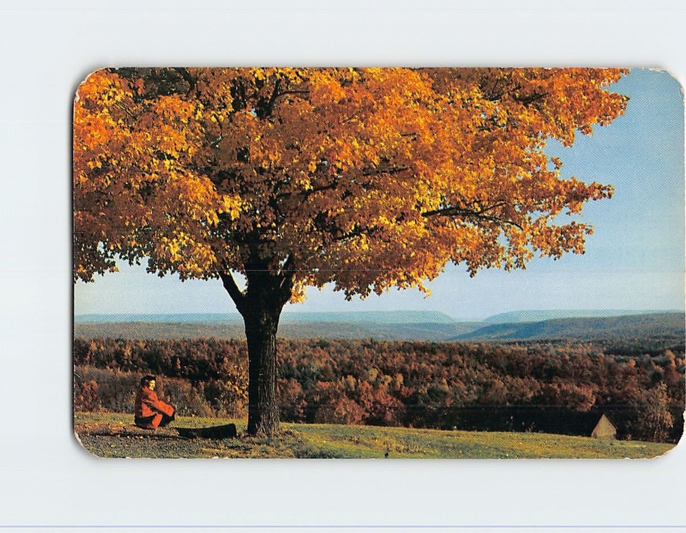 Postcard Flaming Foliage Time in the Beautiful Pocono Mountains Pennsylvania USA