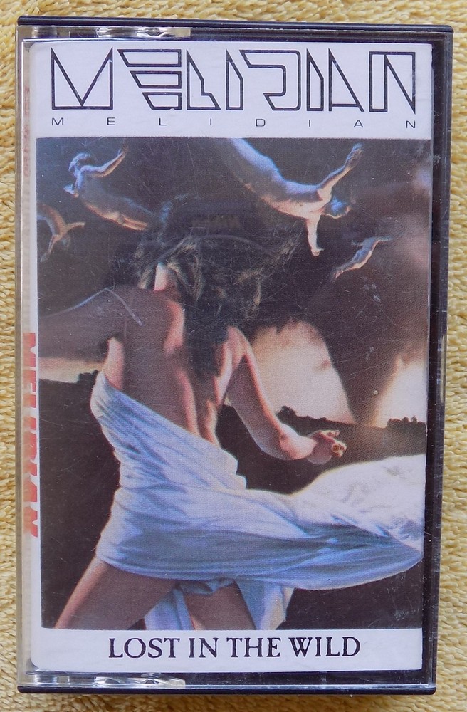 Melidian: Lost In The Wind - 1989 CBS Cassette - Rare HTF