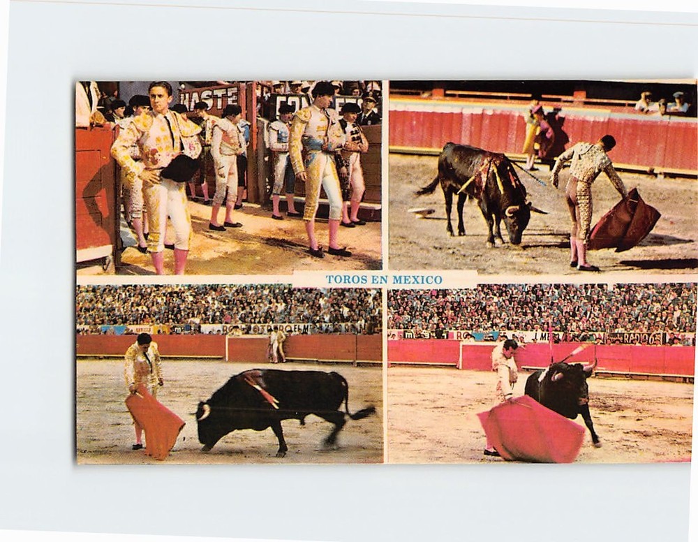 Postcard Bull Fight In Mexico