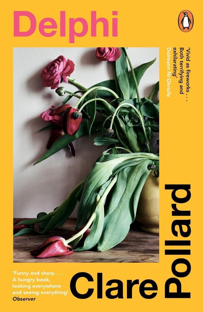 Delphi by Clare Pollard Paperback Book