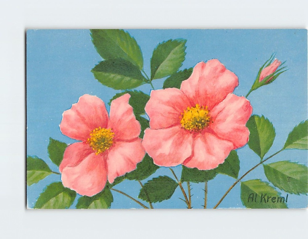 Postcard Wild Rose Flower Art Print