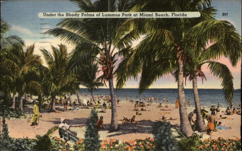 Lummus Park Miami Beach Florida vintage postcard a546