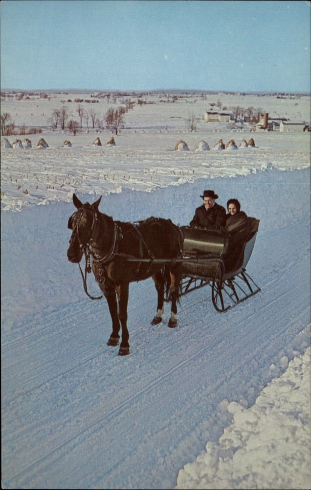 Amish farmer Pennsylvania ~ horse drawn sleigh winter snow ~ postcard sku569