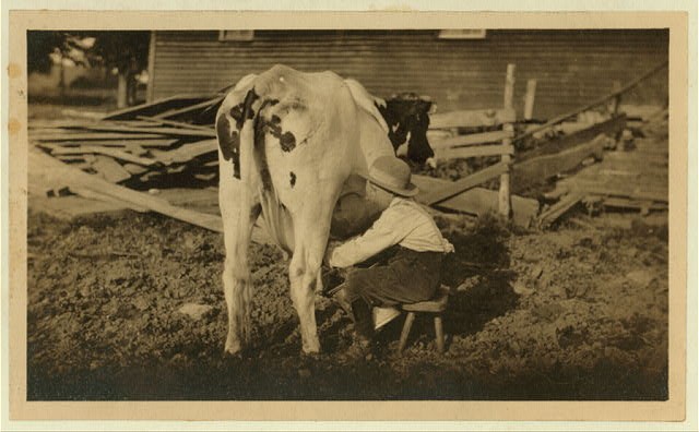 Rural Child Labor,Western Massachusetts,Lewis Wickes Hine,1915,Farm Life