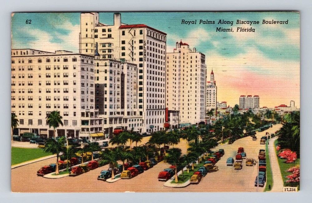 Miami FL-Florida, Royal Palms Along Biscayne Boulevard, Vintage c1950 Postcard