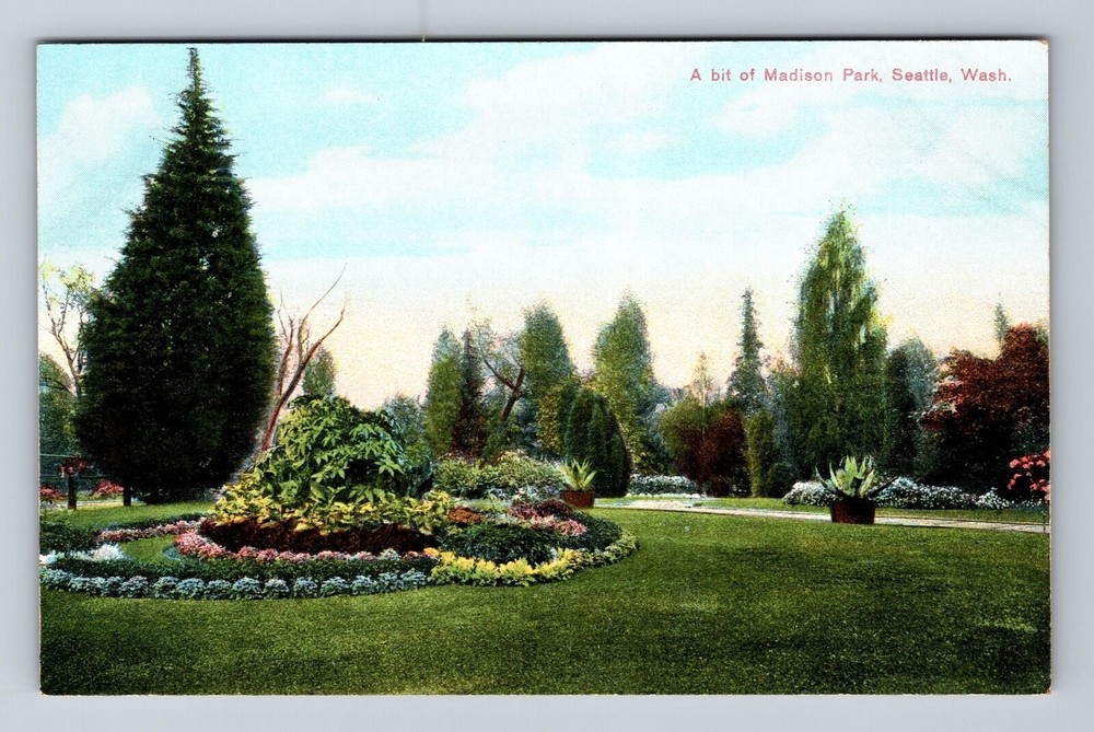 Seattle WA-Washington, A Bit Of Madison Park, Antique, Vintage Postcard