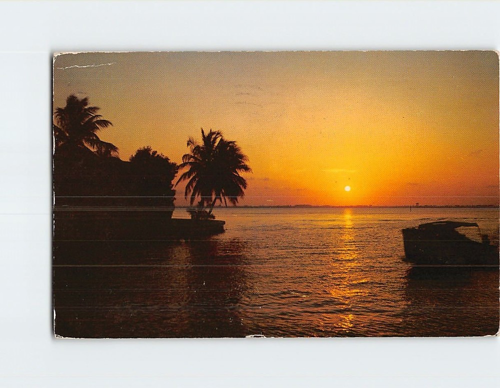 Postcard Florida Sunset Florida USA