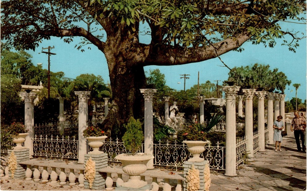 SUN NEWS CO., PINELLAS PARK, FLA, KAPOK TREE INN, Postcard