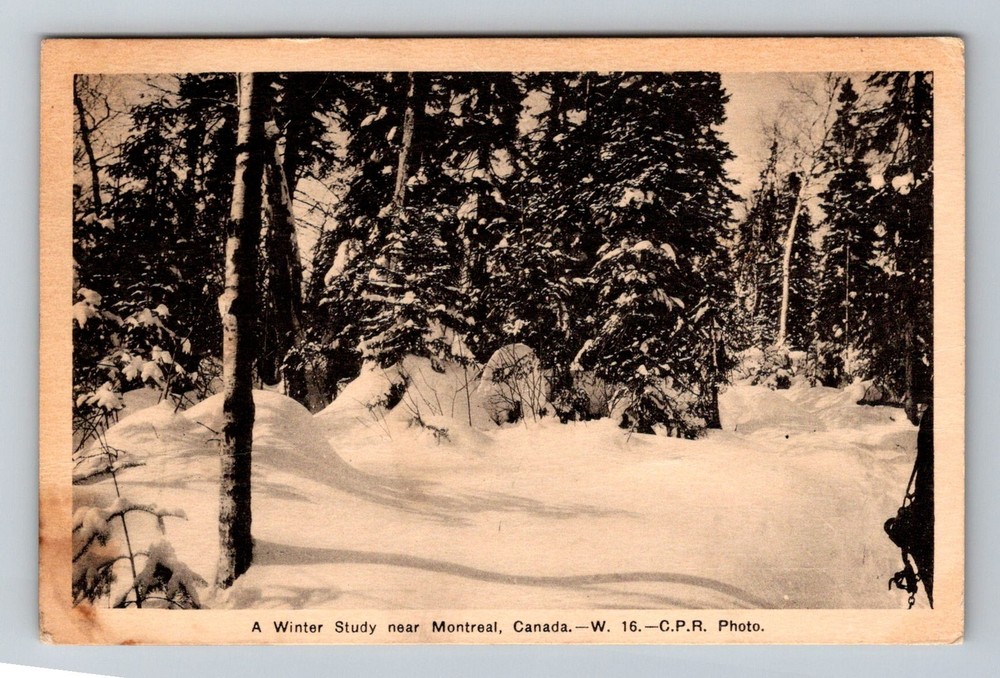 Canada- Montreal Winter Scene Standard Post Old Card View Vintage c1944 Postcard