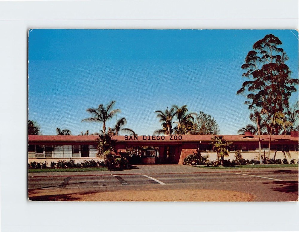 Postcard Entrance San Diego Zoo California USA