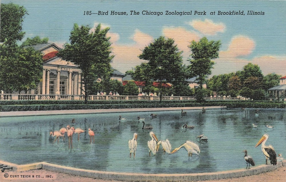 1941 Bird House, The Chicago Zoological Park at Brookfield, Illinois Postcard