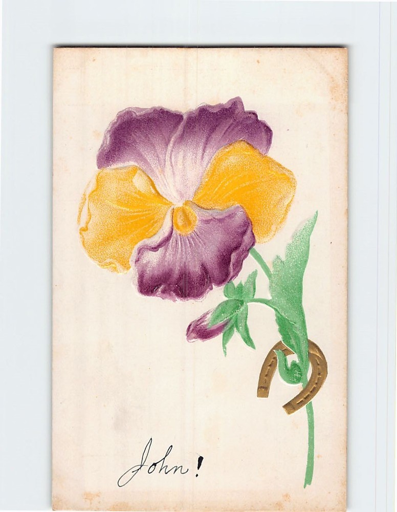 Postcard Embossed Pansy Flower Art Print Greeting Card