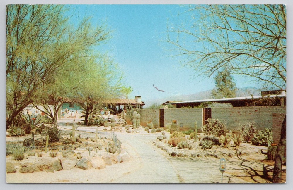 Ghost Ranch Lodge Tucson Arizona Postcard Cactus Garden Best Western Chrome