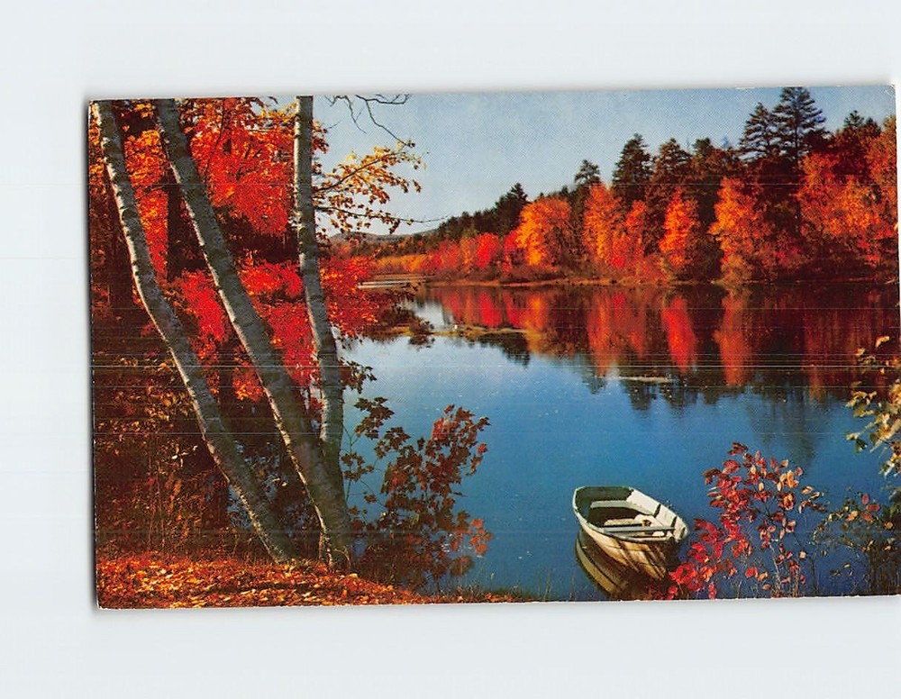 Postcard Nature Scene and Autumn Leaves